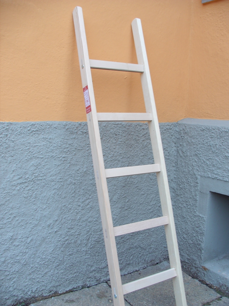 Sprossen Anlegeleiter